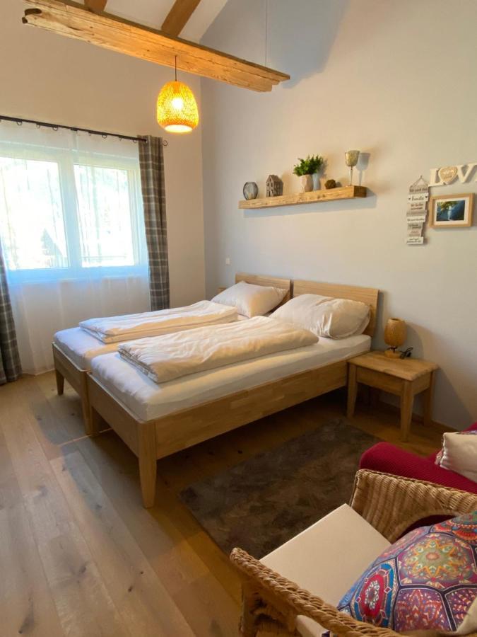 Moderne Kaminstube Apartment Ramsau am Dachstein Exterior foto